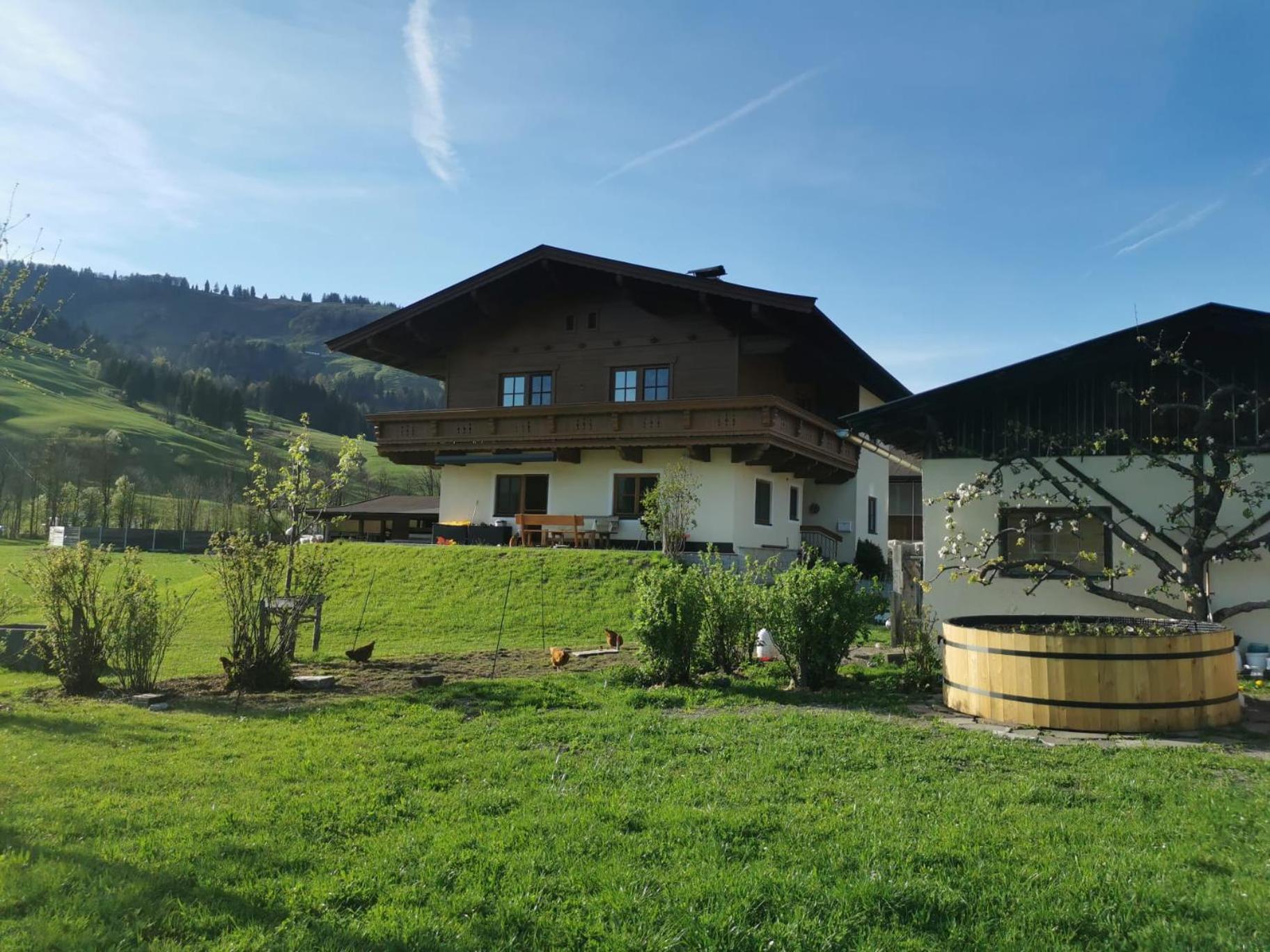 Ferienwohnung Eder Hochfilzen Bagian luar foto